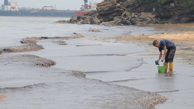 Petugas membersihkan tumpahan minyak di Pantai Banua Patra Balikpapan