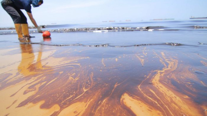 Oil washes up on the beach