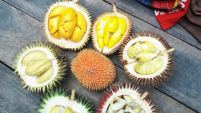 "Enam jenis tapi bukan durian," tulis Hanif Wicaksono dalam keterangan foto buah-buahan hutan Kalimantan yang diunggahnya di akun media sosialnya. - Facebook/Hanif Wicaksono