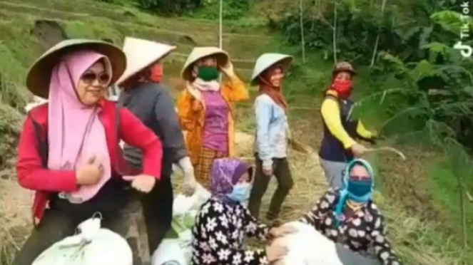 Sekelompok petani wanita sedang berjoget.