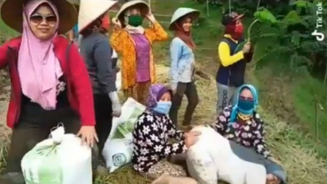 Sekelompok petani wanita sedang berjoget.
