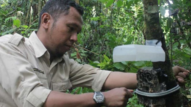 Petugas BKSDA Agam memang kamera perangkap harimau sumatera.