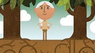 4 Fakta Hari Bumi yang Dirayakan Google Doodle