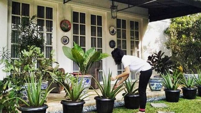 Begini Mewahnya Rumah  5 Artis Top Indonesia