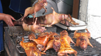 4 Kuliner Ekstrem Paling Menjijikan, Awas Muntah!