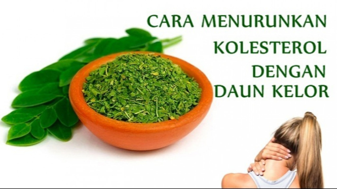 Daun Kelor Tanaman  Ajaib  Penurun  Kadar  Kolesterol