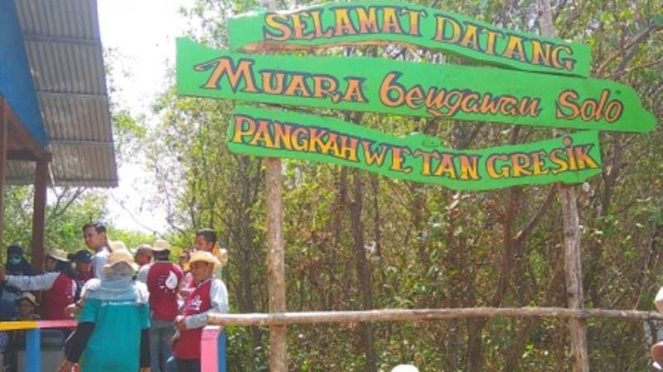 Wisata Muara Bengawan Solo di Desa Pangkah Wetan, Jawa Timur