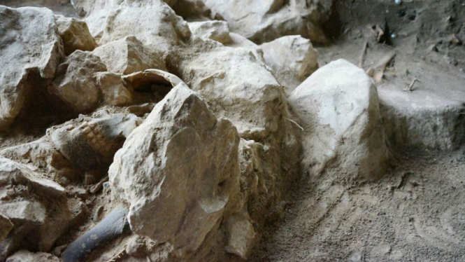 Kerangka manusia purba berusia 3.000 tahun