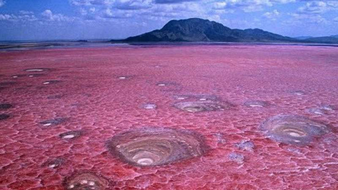 Danau Natron di Tanzania