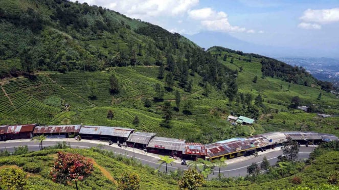 Ruta turística del paso Puncak, Bogor, Java Occidental