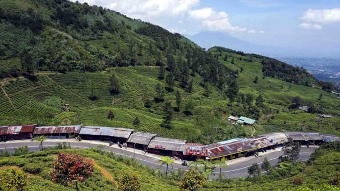 Jalur wisata Puncak Pass, Bogor, Jawa Barat