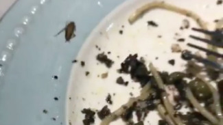 Ada Kecoak di Piring Pengunjung, Bakerzin Cepat Tanggap