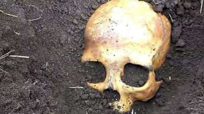 Geger, Tengkorak Manusia Ditemukan di Galian Drainase Labuan Bajo
