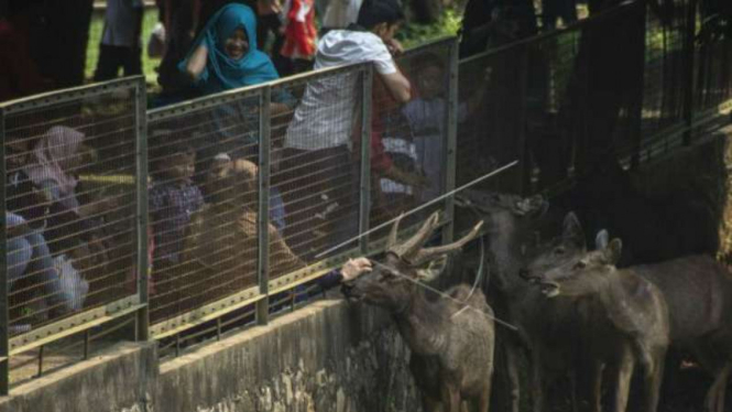 Ragunan selama libur Lebaran 2018.