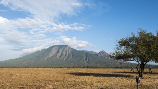 PESONA TAMAN NASIONAL BALURAN