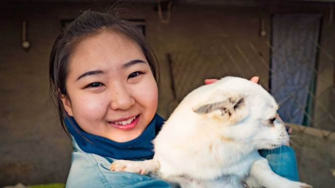 Jia Tingting menjadi relawan di sebuah tempat penampungan anjing di luar kota Beijing.