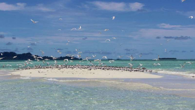 Baby Island di Kepulauan Banyak, Aceh