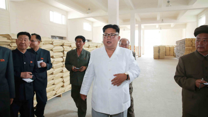 Gaya pemimpin Korea Utara, Kim Jong-un saat sidak lapangan