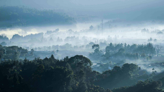 Pemandangan pedesaan yang tertutup kabut di Lembang, Kabupaten Bandung Barat, Jawa Barat