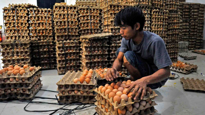 Pekerja menyortir telur di Gudang Bahan Pokok Pasar Induk Rau, di Cikepuh, Serang, Banten (Ilustrasi)