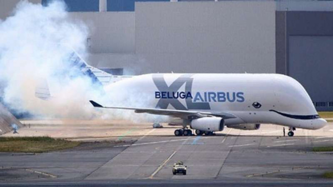 Beluga Airbus