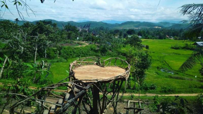 Pohon Literasi di Kabupaten Tanah Datar Sumatera Barat.