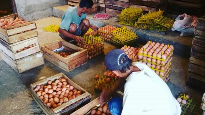 Ilustrasi telur ayam yang dijual di pasar kota Makassar.
