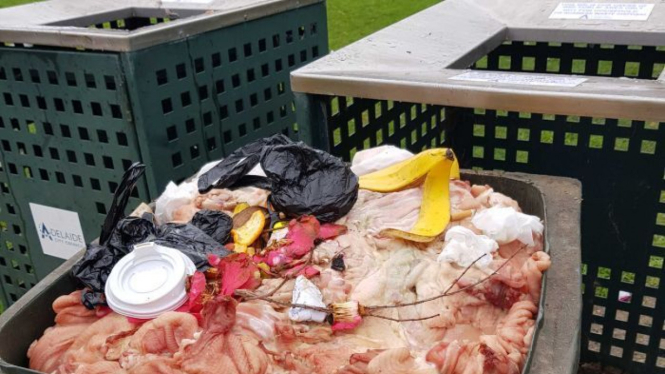 Potongan daging bebek ditemukan di tempat sampah umum di Himeji Gardens di taman selatan Adelaide.
