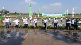 Ikut Program Ini Petani Dapat Asurasi Hingga Pendampingan Teknologi