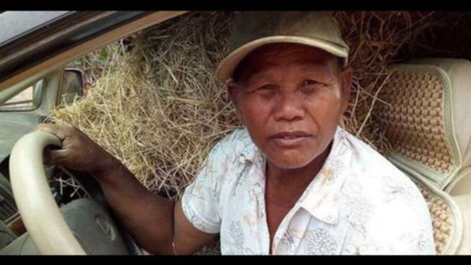 Petani bawa jerami dengan Lexus.