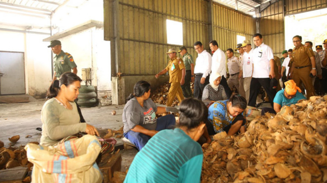Menteri Pertanian Andi Amran Sulaiman meninjau pabrik Industri pengolahan kelapa