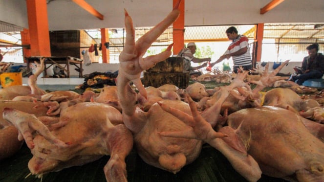 Los comerciantes de pollos de engorde atienden a los clientes en el centro de carnes.