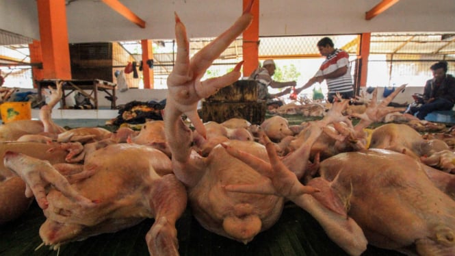 Pedagang ayam potong melayani pembeli di pusat pasar daging (ilustrasi).