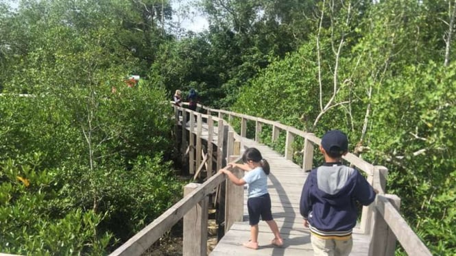  Kawasan Konservasi Penangkaran Penyu dan Taman Wisata Mangrove di Pariaman