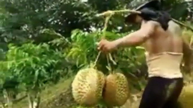 Pria bawa durian jumbo.