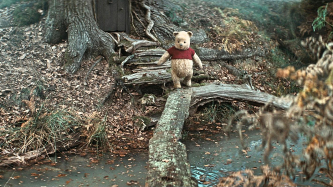 Winnie the Pooh