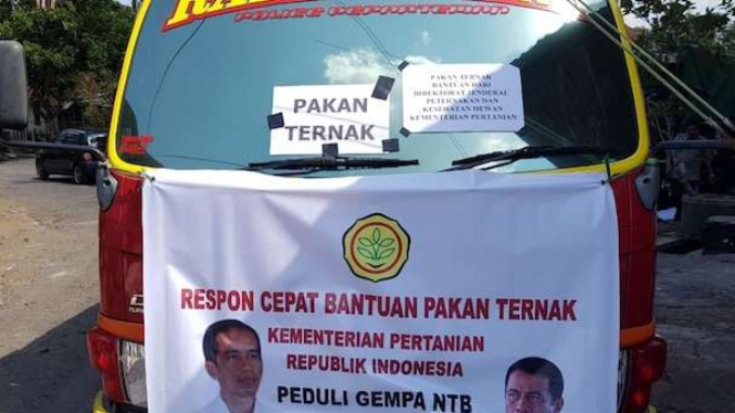 Bantuan Pakan untuk Ternak korban bencana di Lombok