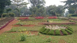 Serunya Kemping, Berkano Sambil Panen Durian di Inagro
