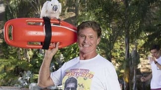 David Hasselhoff Sebut Film Baywatch Cuma Sukses di Jerman
