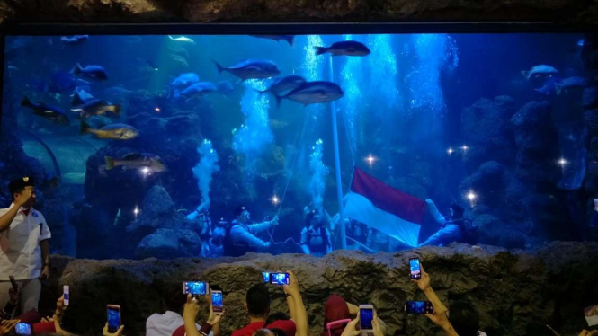 Pengibaran Merah Putih di Bawah Air, Sea World