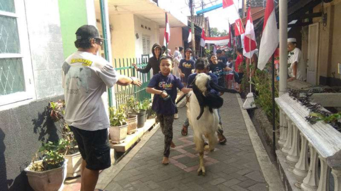 Karnaval Hewan Kurban di Malang Diiringi Selawat dan Lagu Kebangsaan
