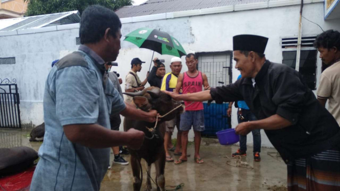 Ritual Jemaah Tarekat Syattariyah memandikan hewan kurban dengan kembang tujuh rupa sebelum binatang itu disembelih dalam perayaan Idul Adha di Kota Padang pada Rabu, 22 Agustus 2018.