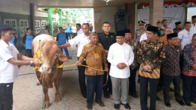 Presiden Jokowi serahkan sapi ke PP Muhammadiyah, Kamis 23 Agustus 2018.