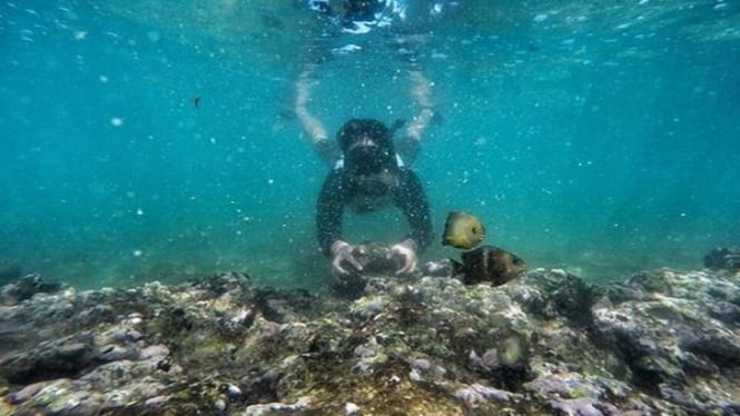 Tempat Snorkeling Aman Di Jogja Pantai Nglambor Pilihannya