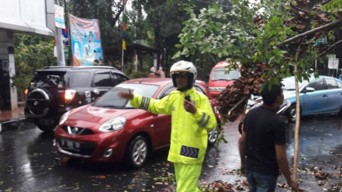 Pohon tumbang Jl Raya Lapangan Tembak Cibubur arah Arundina.