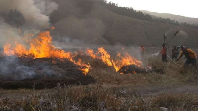 Api melahap lahan Taman Nasional Gunung Semeru.