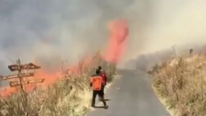 Kebakaran di kawasan Taman Nasional Bromo Tengger Semeru (TNBTS), Jawa Timur. 