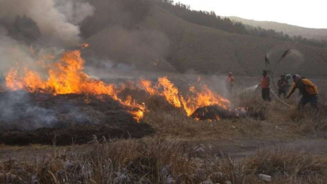 Petugas berusaha memadamkan kebakaran api di savana Gunung Bromo