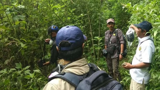 Gas beracun di hutan Lurah Tangek Angok, Agam, Sumbar.