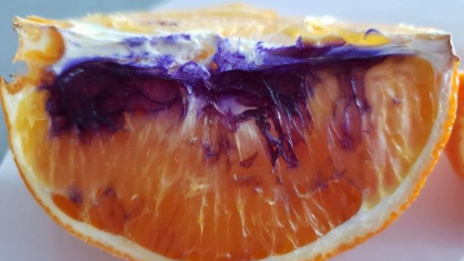 Belum diketahui mengapa jeruk ini berubah menjadi ungu beberapa jam setelah dipotong.